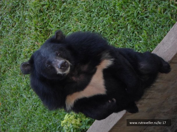 photo 1240366