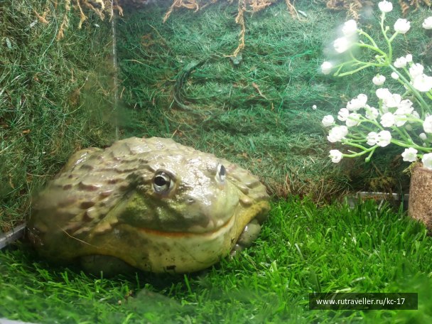 photo 1240422