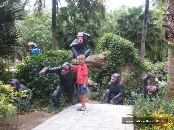 photo 1240432