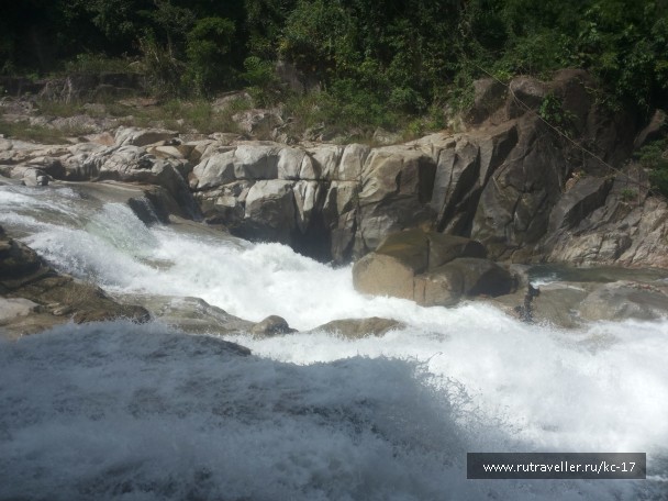 photo 1240459