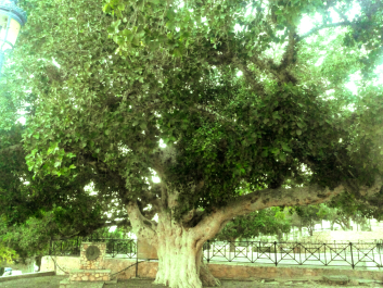 photo 1760084