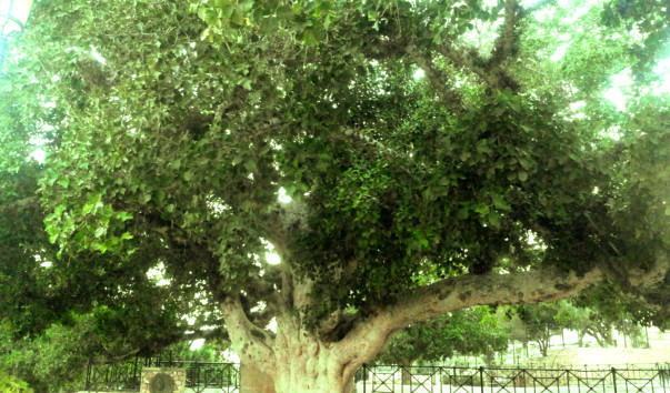 Lumii_20190422_223020205