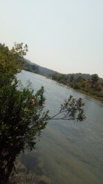photo 1524966