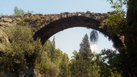 photo 1524977