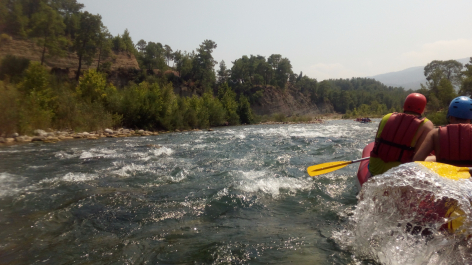 photo 1524981