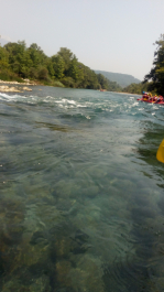 photo 1524982