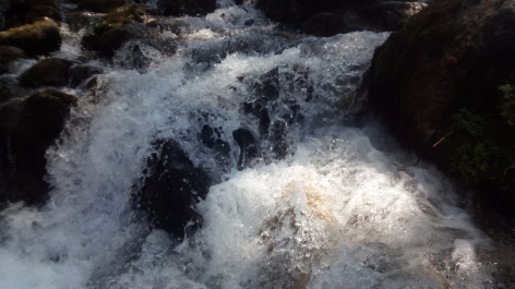 photo 1524983