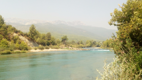 photo 1524984