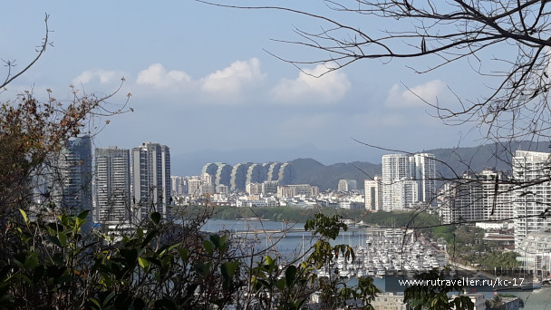 photo 1755447