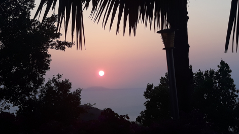 photo 1755475
