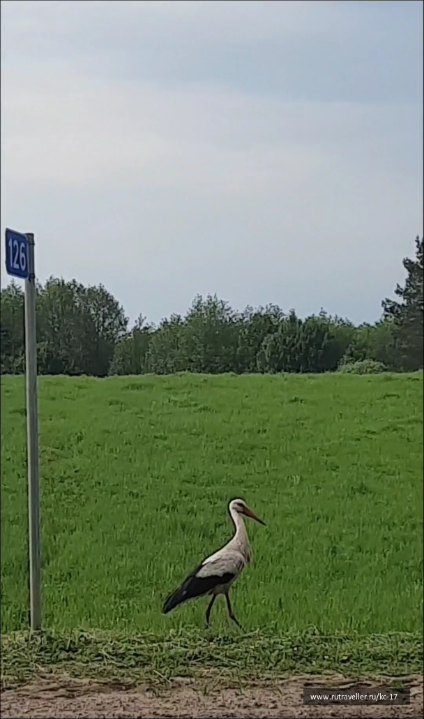 photo 2066912