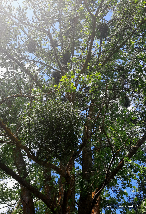 photo 2091435