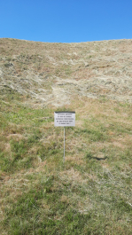photo 2078104