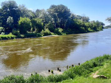 photo 2078573