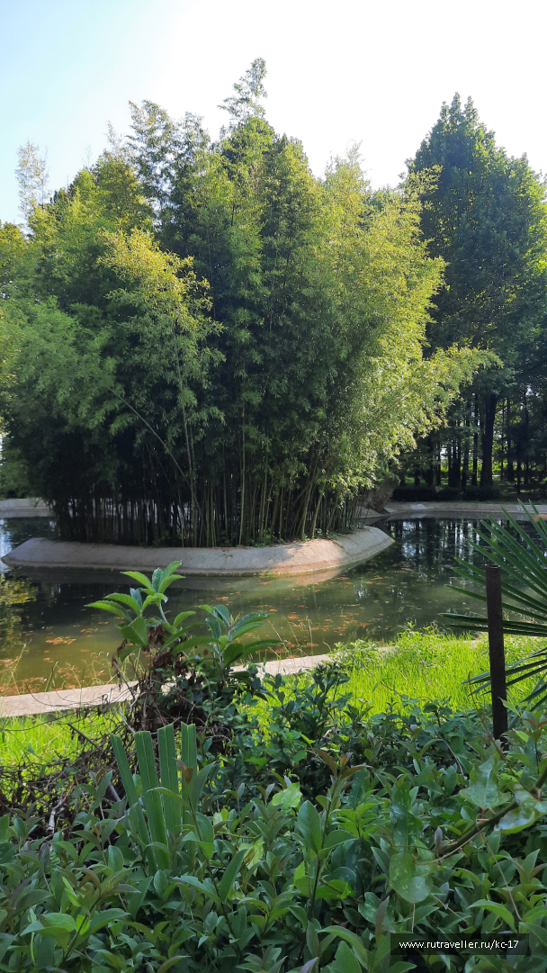 photo 2098345
