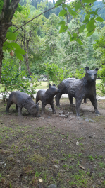 photo 2102557
