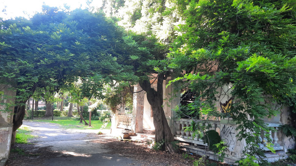 photo 2103698