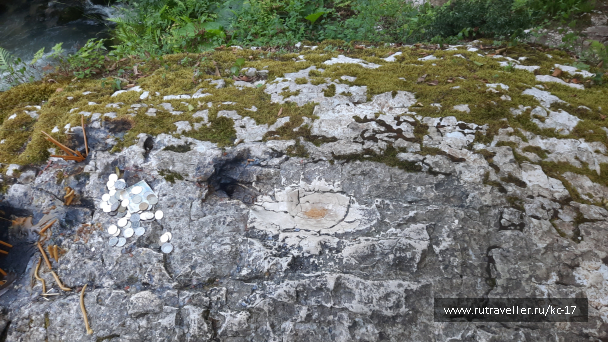photo 2104148