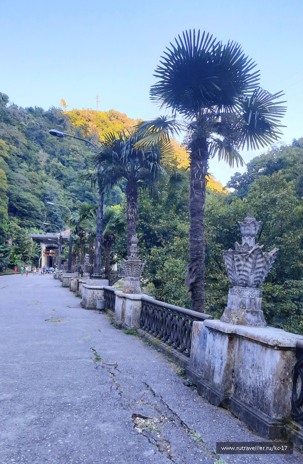 photo 2105911