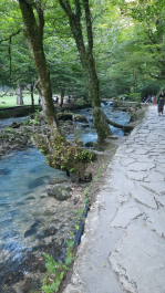 photo 2107115