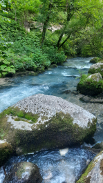 photo 2107117