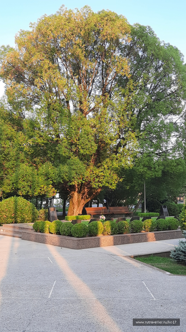 photo 2108741