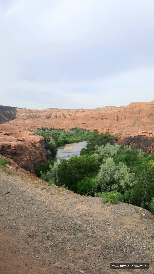 photo 2131835