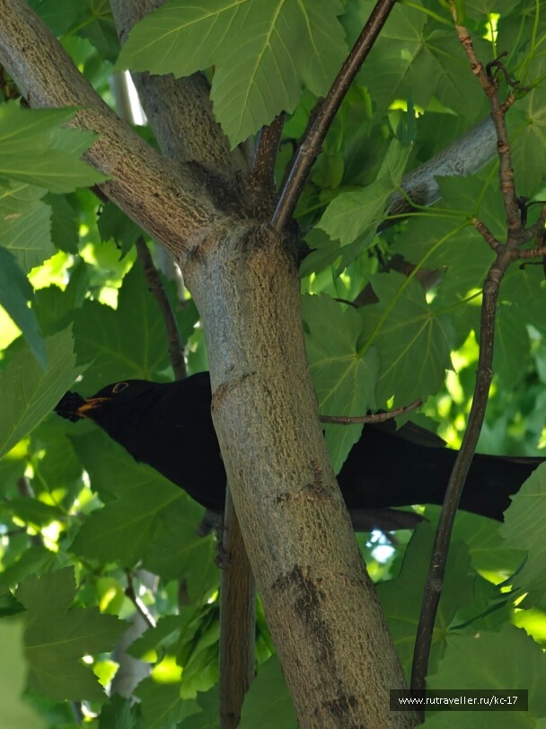 photo 2148189