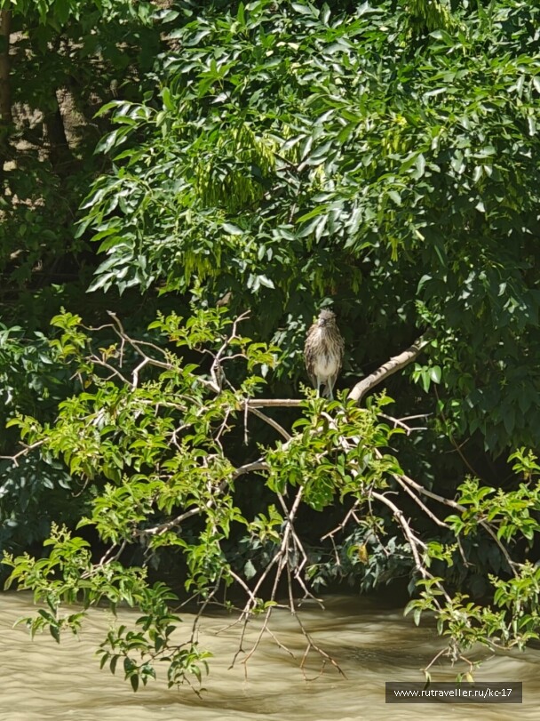 photo 2148191