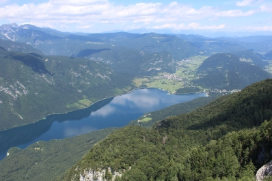 photo 1182632