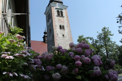 photo 1182637