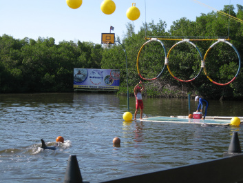 photo 487896