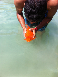 photo 494012