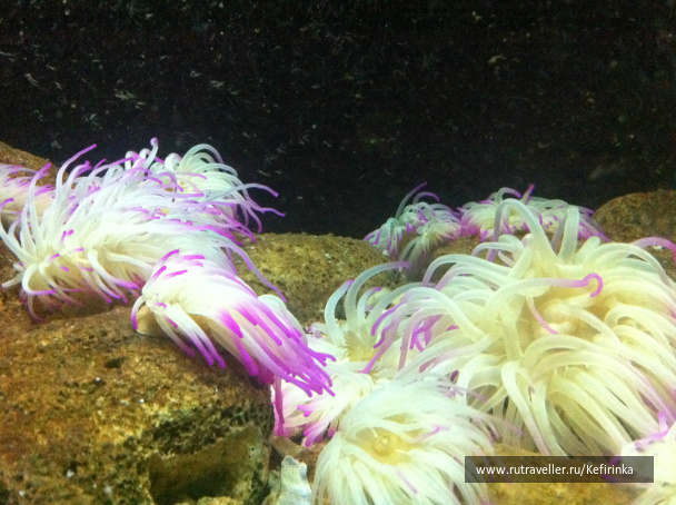 photo 494119