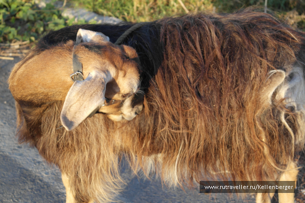 photo 1331441