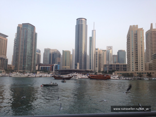 photo 1285550