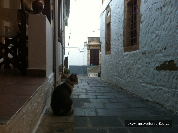 photo 1285638