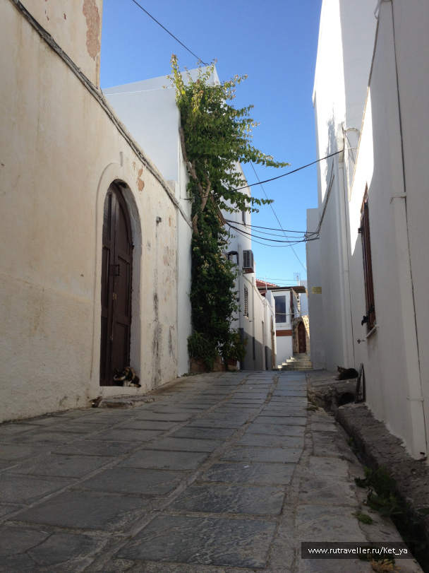 photo 1285639