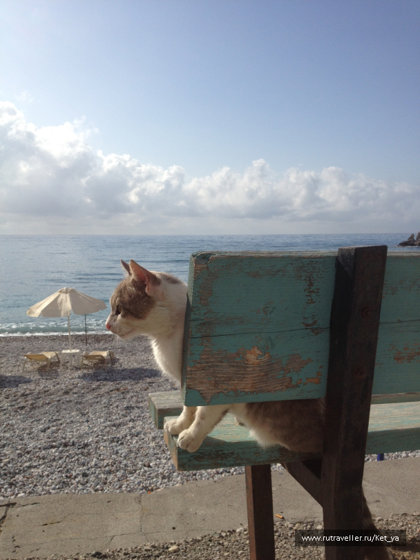 photo 1285642