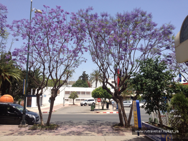photo 1307343