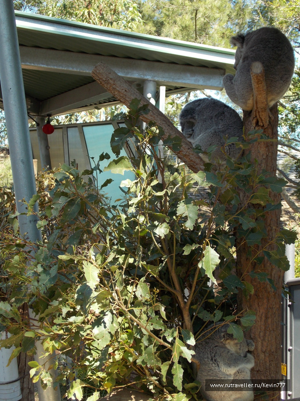 photo 487394
