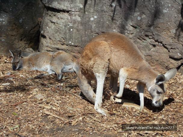 photo 487396