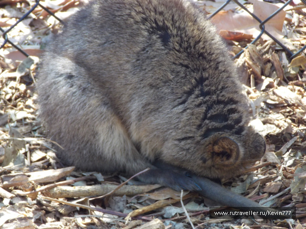 photo 487398