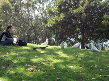 photo 487404