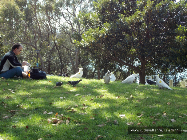 photo 487404