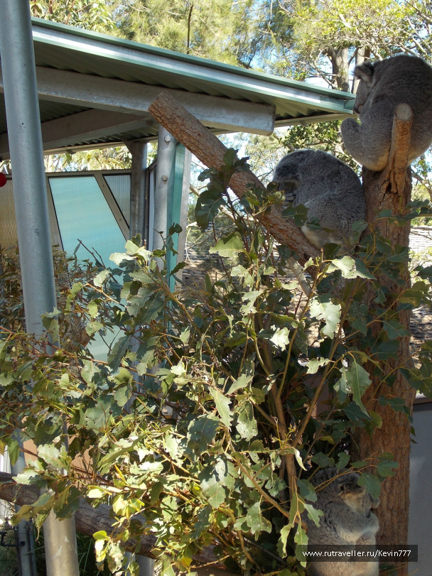 photo 497631