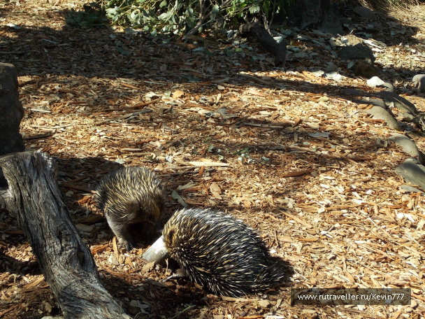 photo 497632