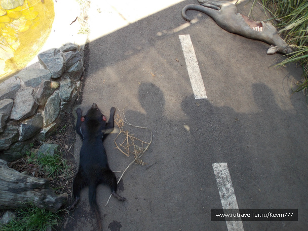 photo 497633