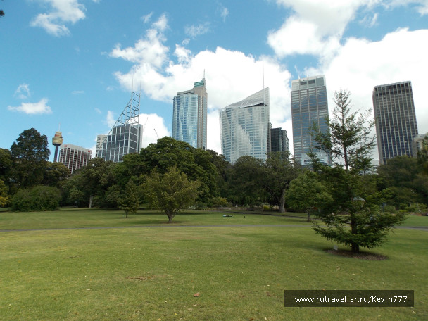 photo 499523