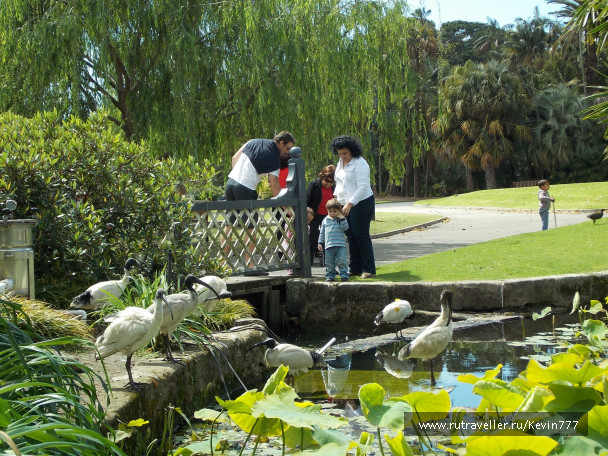 photo 499525